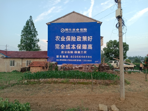 开江墙体广告为何受追捧？